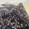 Jupe Midi Coupe Droite à Paillettes Noire